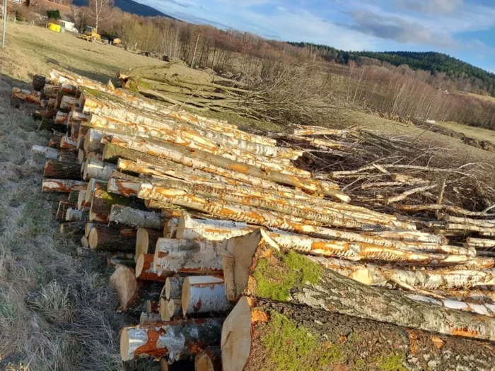 Grumes de bouleau châtaignier PEFC par 1 camion – 60M3