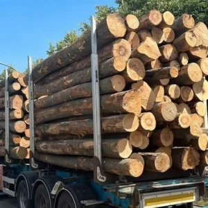 grumes-de-hetre-sec-livrees-par-1-camion-60m3