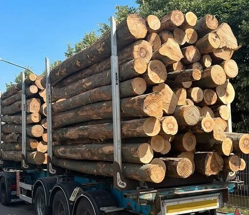 Grumes de hêtre sec livrées par 1 camion – 60M3